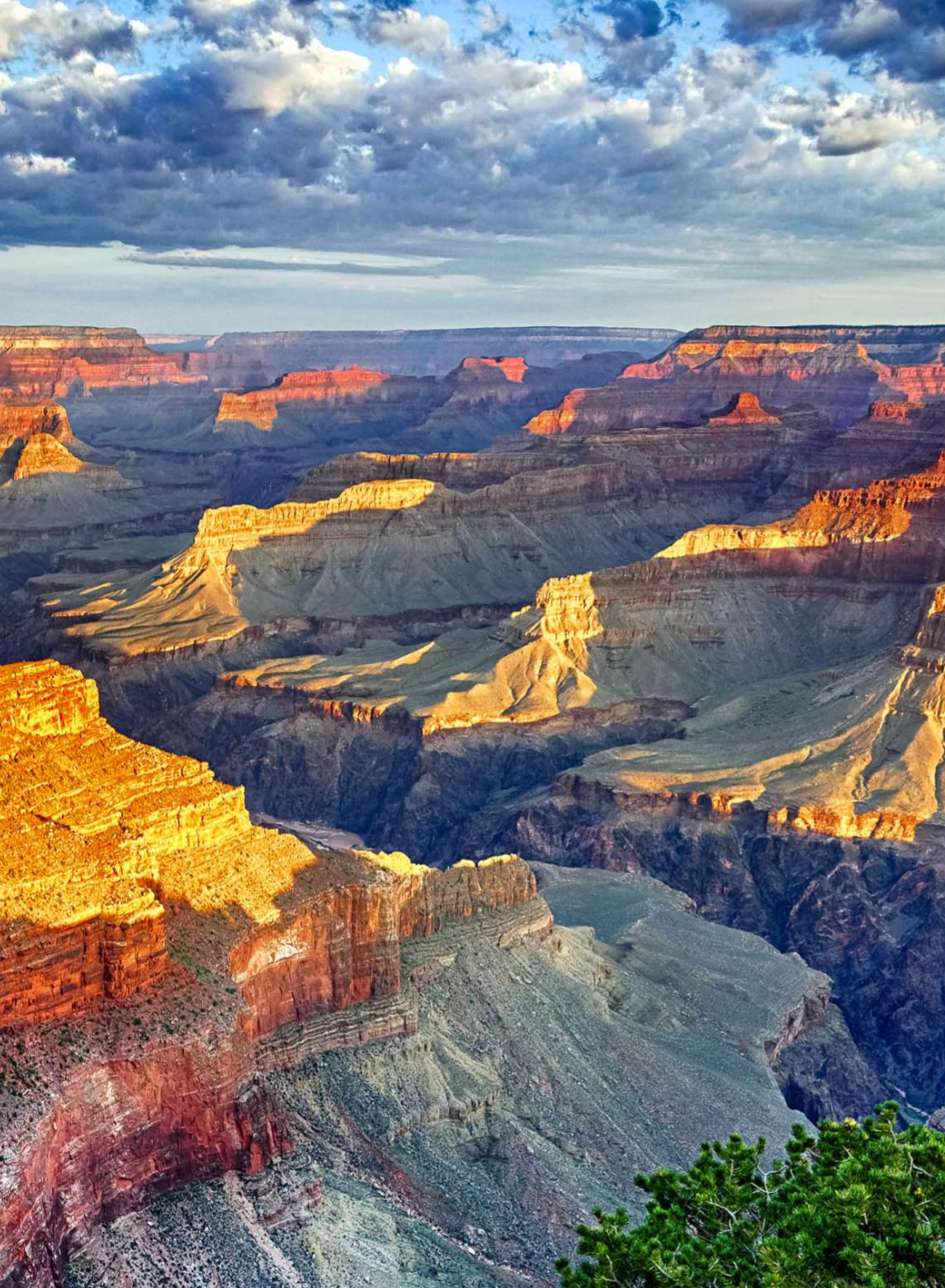 The Grand Canyon